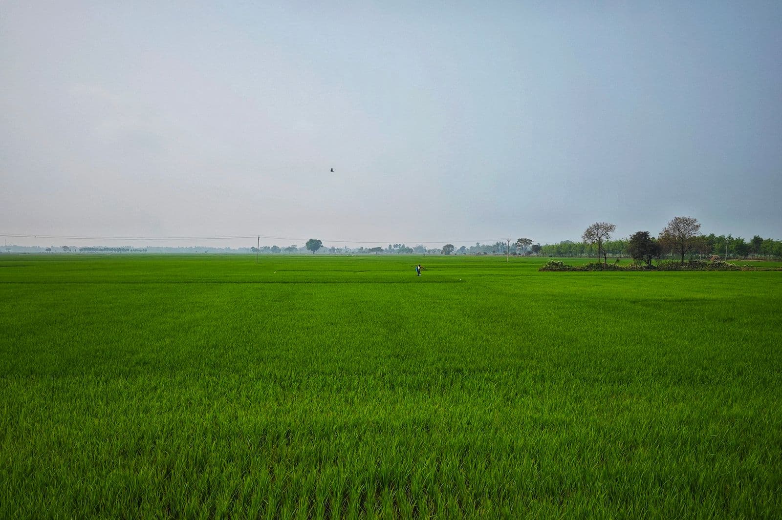 Residential NA Plot in Satara Parisar
