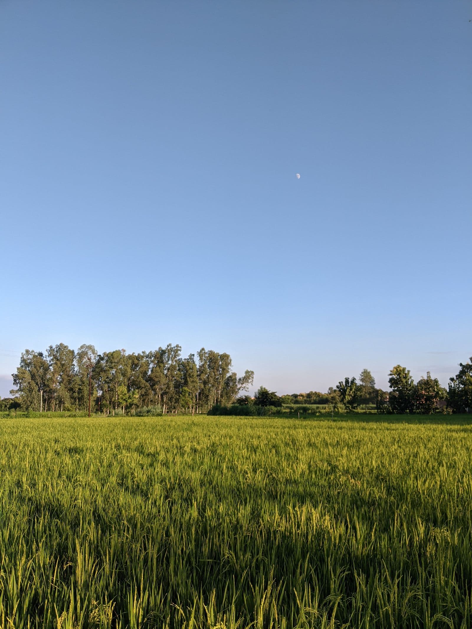 Residential NA Plot in Satara Parisar — 2