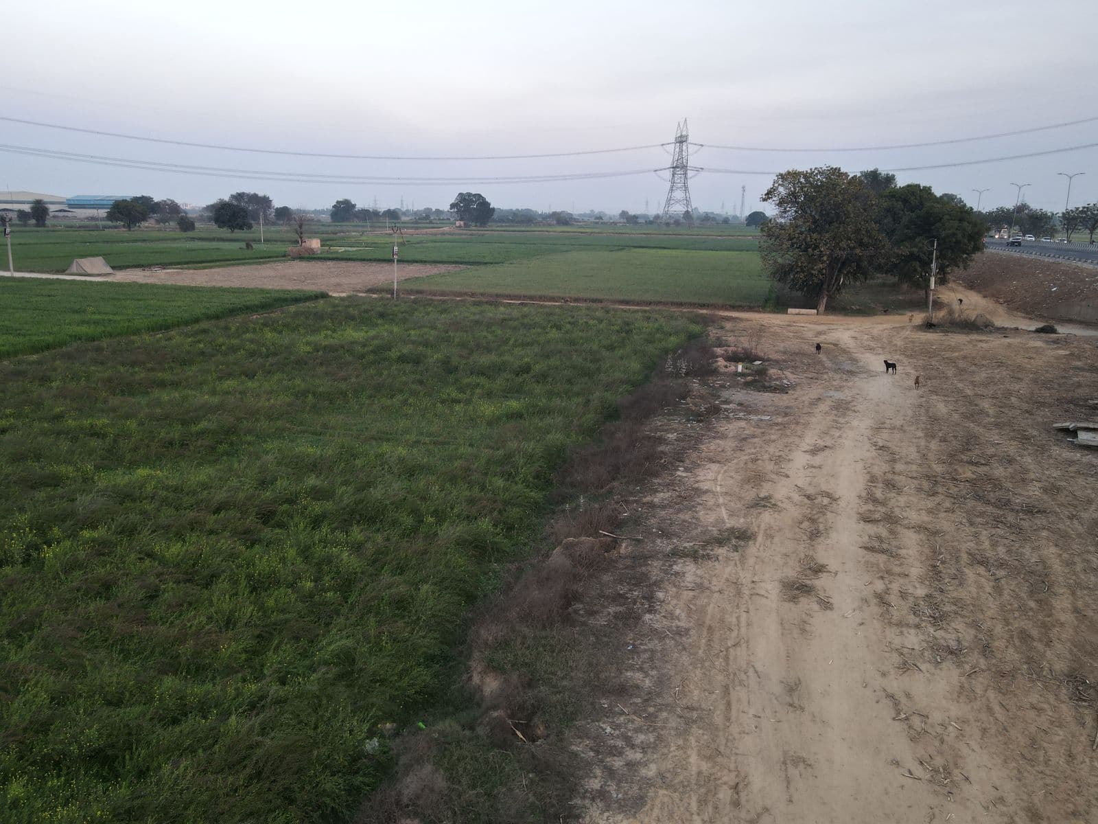 Residential NA Plot in Satara Parisar — 3