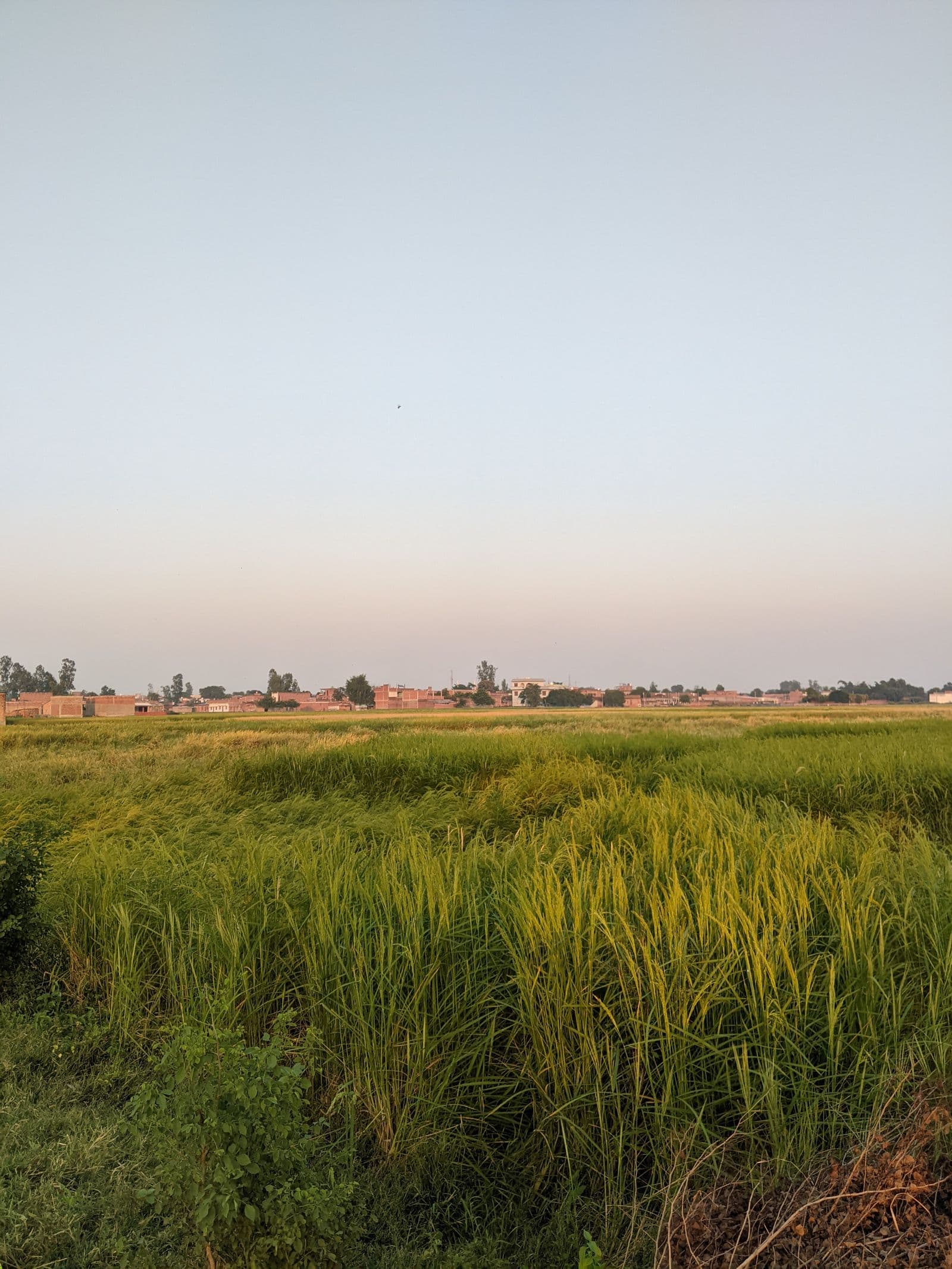 Open Plot near Beed Bypass