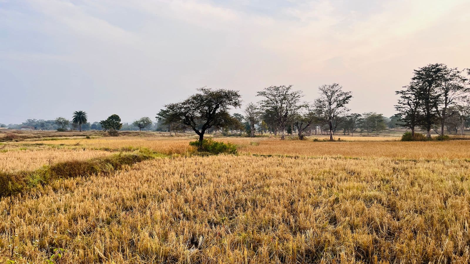 Open Plot near Beed Bypass — 2